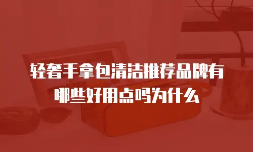 轻奢手拿包清洁推荐品牌有哪些好用点吗为什么
