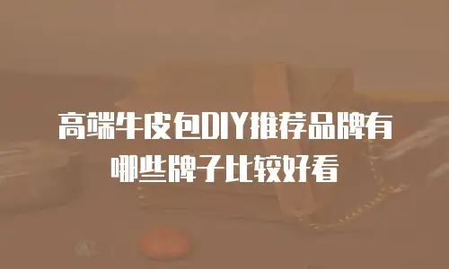 高端牛皮包DIY推荐品牌有哪些牌子比较好看
