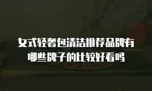 女式轻奢包清洁推荐品牌有哪些牌子的比较好看吗