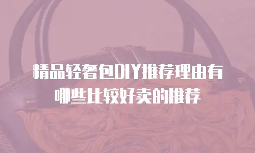 精品轻奢包DIY推荐理由有哪些比较好卖的推荐