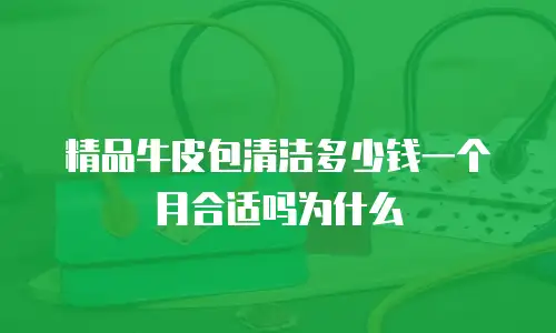 精品牛皮包清洁多少钱一个月合适吗为什么
