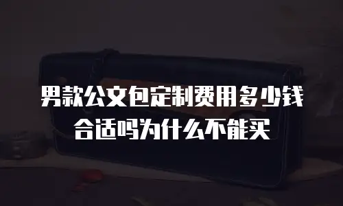 男款公文包定制费用多少钱合适吗为什么不能买