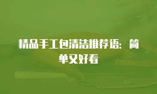 精品手工包清洁推荐语：简单又好看