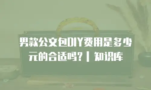 男款公文包DIY费用是多少元的合适吗？| 知识库