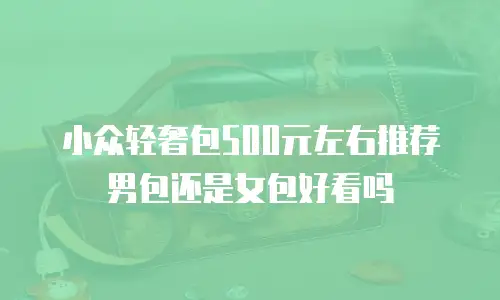 小众轻奢包500元左右推荐男包还是女包好看吗