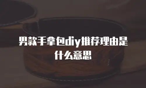 男款手拿包diy推荐理由是什么意思