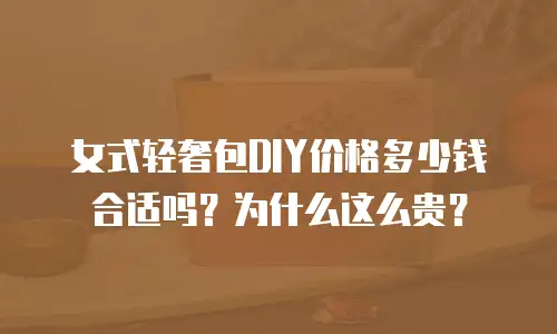 女式轻奢包DIY价格多少钱合适吗？为什么这么贵？