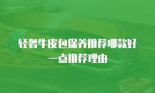 轻奢牛皮包保养推荐哪款好一点推荐理由