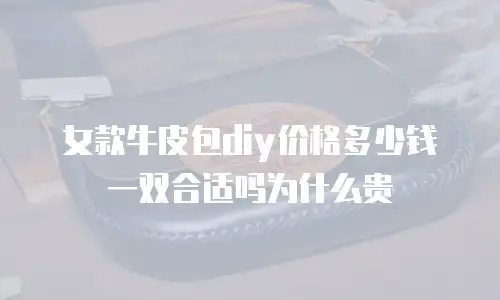 女款牛皮包diy价格多少钱一双合适吗为什么贵