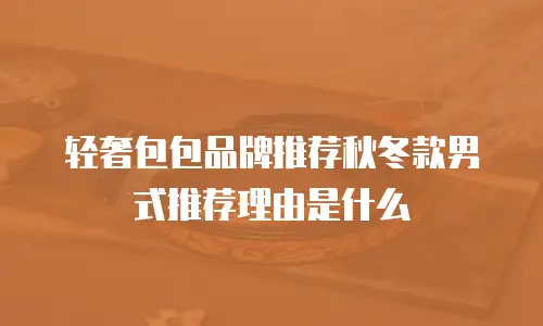 轻奢包包品牌推荐秋冬款男式推荐理由是什么