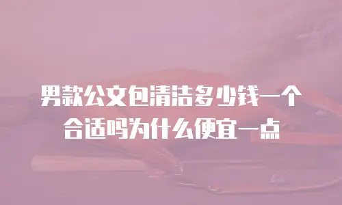 男款公文包清洁多少钱一个合适吗为什么便宜一点