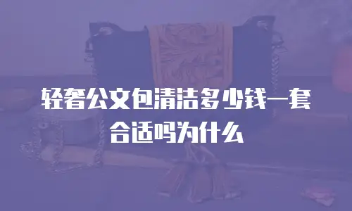 轻奢公文包清洁多少钱一套合适吗为什么