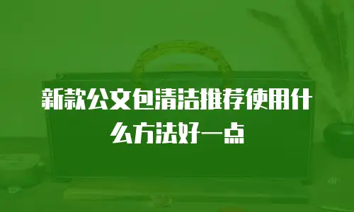 新款公文包清洁推荐使用什么方法好一点