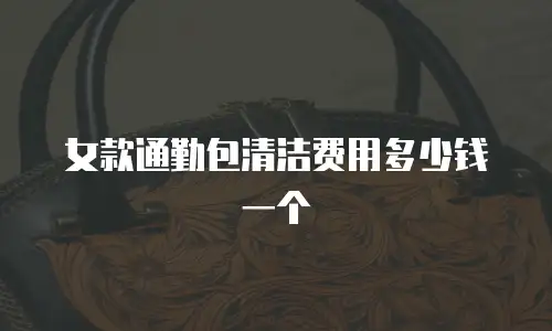 女款通勤包清洁费用多少钱一个