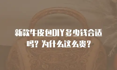 新款牛皮包DIY多少钱合适吗？为什么这么贵？