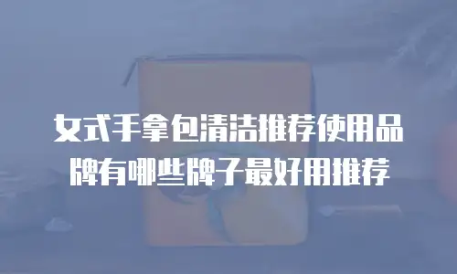 女式手拿包清洁推荐使用品牌有哪些牌子最好用推荐