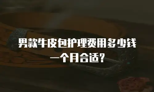 男款牛皮包护理费用多少钱一个月合适？