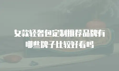 女款轻奢包定制推荐品牌有哪些牌子比较好看吗