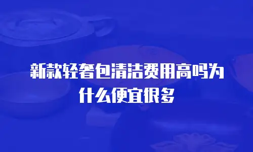 新款轻奢包清洁费用高吗为什么便宜很多