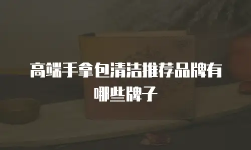 高端手拿包清洁推荐品牌有哪些牌子