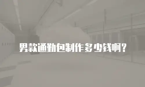 男款通勤包制作多少钱啊？