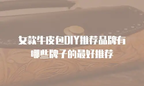 女款牛皮包DIY推荐品牌有哪些牌子的最好推荐