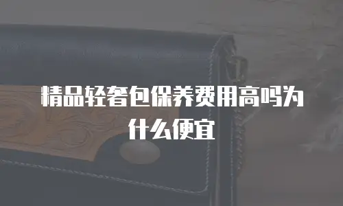精品轻奢包保养费用高吗为什么便宜
