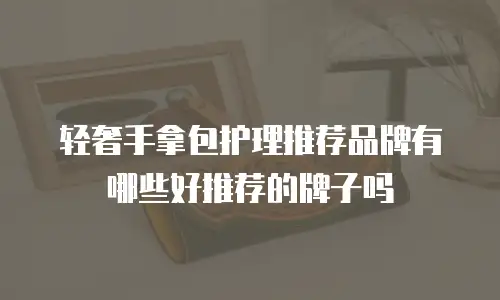 轻奢手拿包护理推荐品牌有哪些好推荐的牌子吗