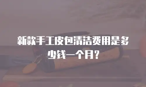 新款手工皮包清洁费用是多少钱一个月？