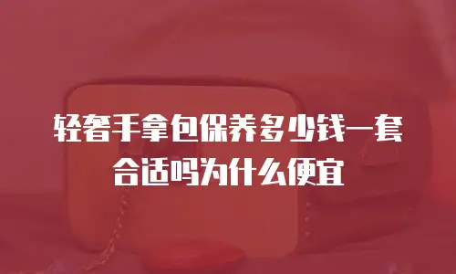 轻奢手拿包保养多少钱一套合适吗为什么便宜