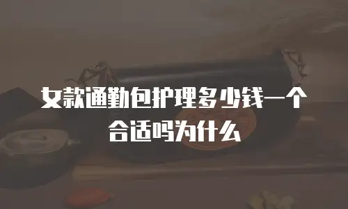 女款通勤包护理多少钱一个合适吗为什么