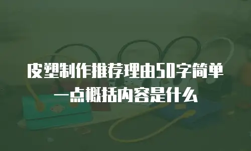 皮塑制作推荐理由50字简单一点概括内容是什么