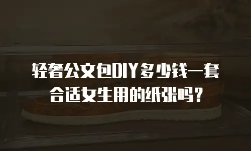 轻奢公文包DIY多少钱一套合适女生用的纸张吗？