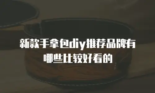 新款手拿包diy推荐品牌有哪些比较好看的