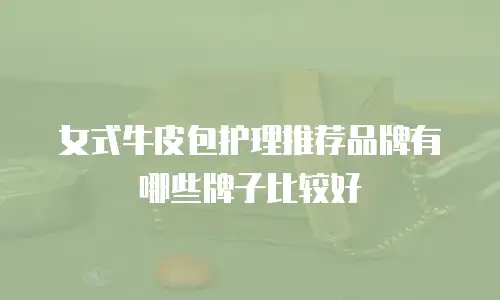 女式牛皮包护理推荐品牌有哪些牌子比较好