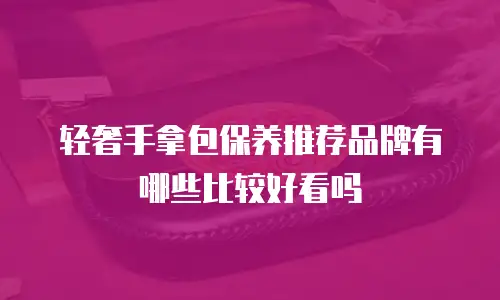 轻奢手拿包保养推荐品牌有哪些比较好看吗