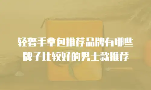 轻奢手拿包推荐品牌有哪些牌子比较好的男士款推荐