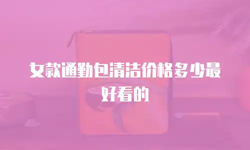 女款通勤包清洁价格多少最好看的