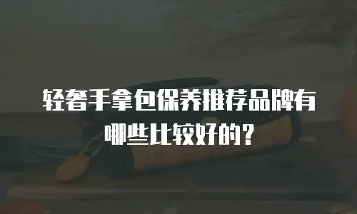 轻奢手拿包保养推荐品牌有哪些比较好的？