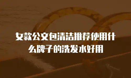 女款公文包清洁推荐使用什么牌子的洗发水好用