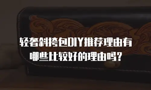 轻奢斜挎包DIY推荐理由有哪些比较好的理由吗？