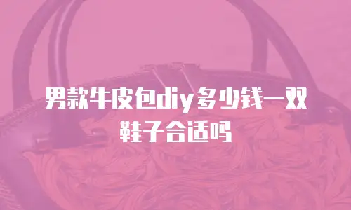 男款牛皮包diy多少钱一双鞋子合适吗