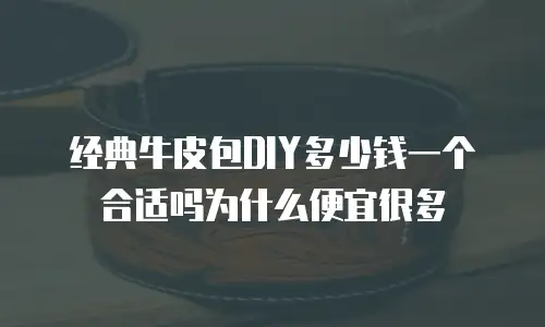 经典牛皮包DIY多少钱一个合适吗为什么便宜很多
