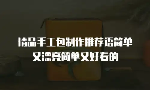精品手工包制作推荐语简单又漂亮简单又好看的