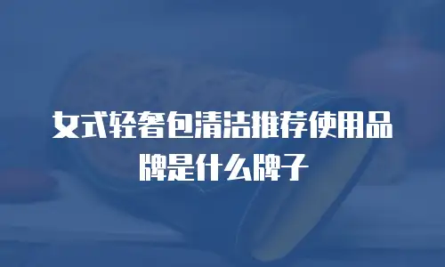 女式轻奢包清洁推荐使用品牌是什么牌子