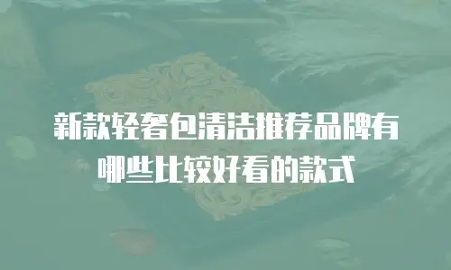 新款轻奢包清洁推荐品牌有哪些比较好看的款式