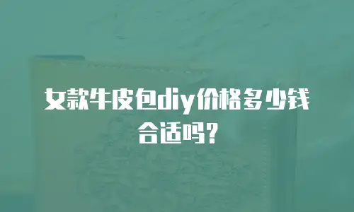 女款牛皮包diy价格多少钱合适吗？