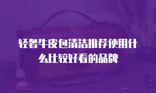 轻奢牛皮包清洁推荐使用什么比较好看的品牌