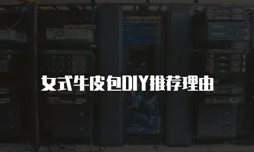 女式牛皮包DIY推荐理由