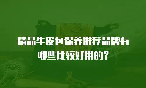 精品牛皮包保养推荐品牌有哪些比较好用的？